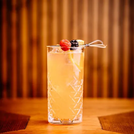 多莫斯普林尼1792套房公寓式酒店 公寓式酒店 Faggeto Lario