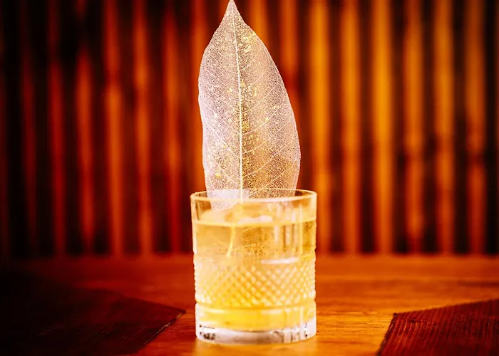 Domus Plinii 1792 4*